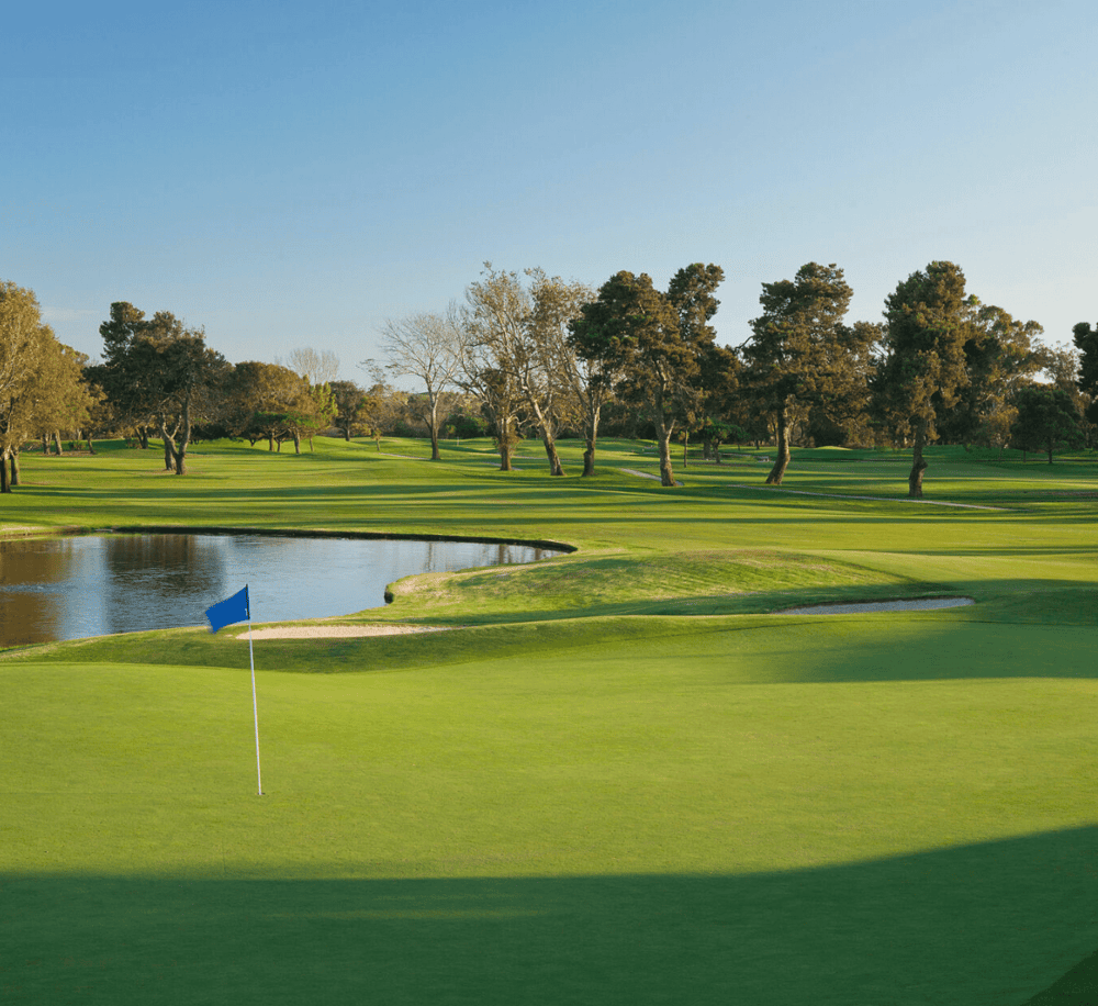 Lush green golf course with water hazard, trees, and a blue flag on the putting green.