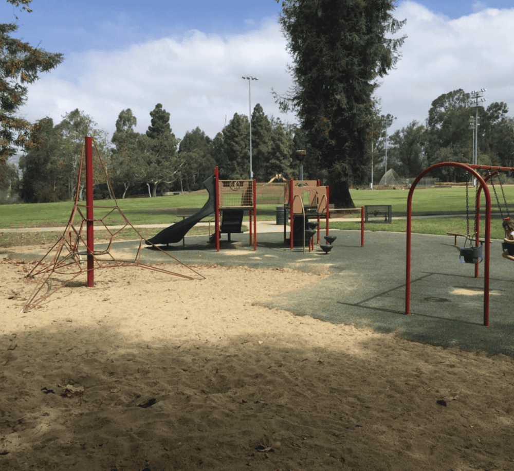 Cl playground equipment at park with slides, swings, and climbing structures in a green outdoor setting.