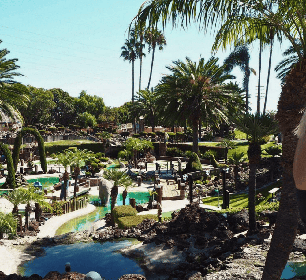 Colorful mini golf course with lush palm trees and tropical landscaping, perfect for family fun and entertainment.