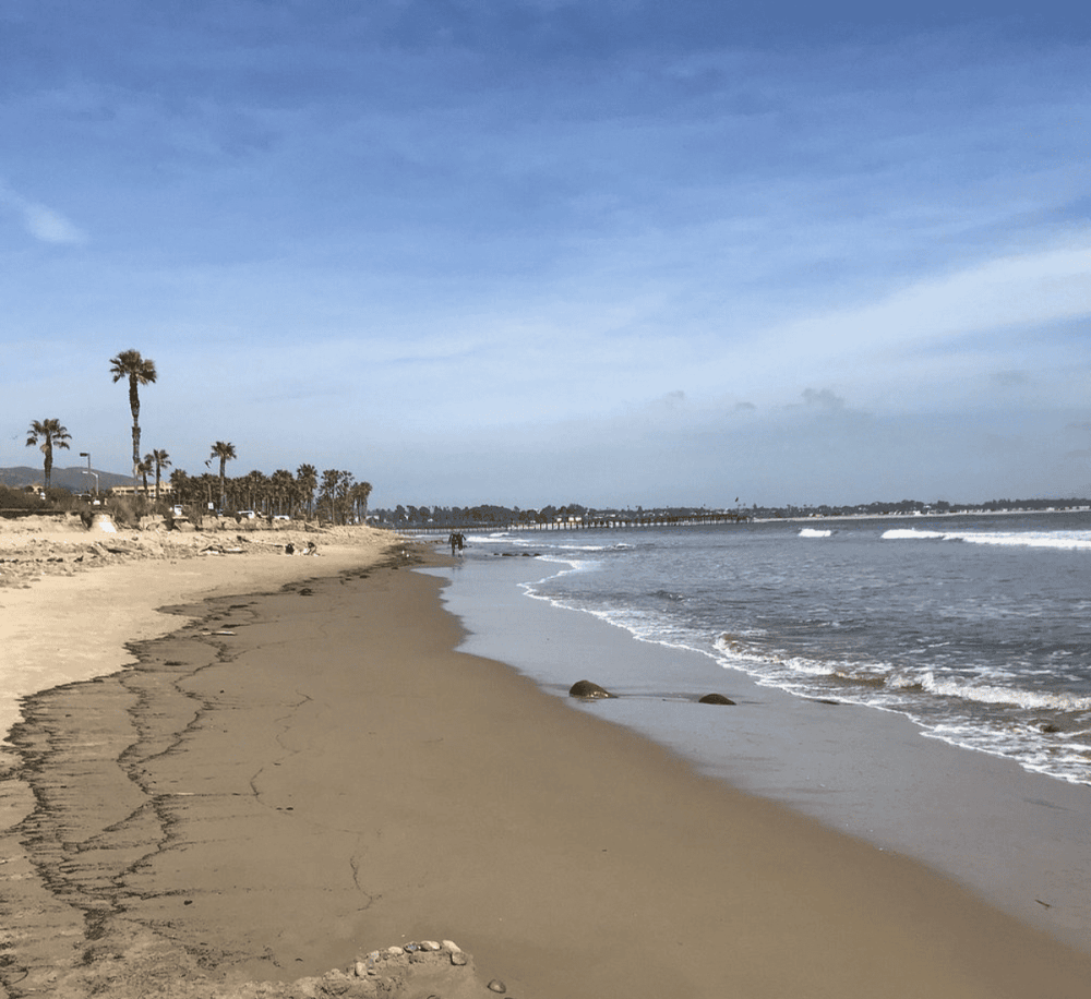 Quiet beach with palm trees, ocean waves, and a pier in the distance, ideal for seaside relaxation.
