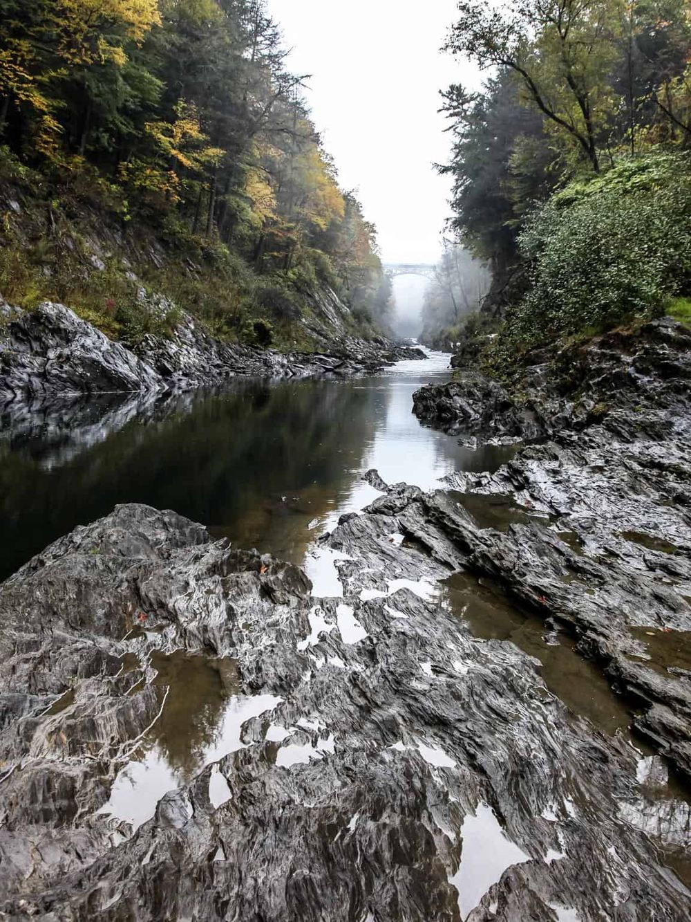 Serene river landscape with rocky banks, surrounded by lush trees and fog, ideal for outdoor adventure and nature exploration.