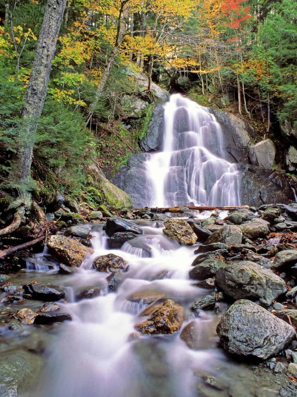 Serene waterfall surrounded by autumn foliage in a lush forest.