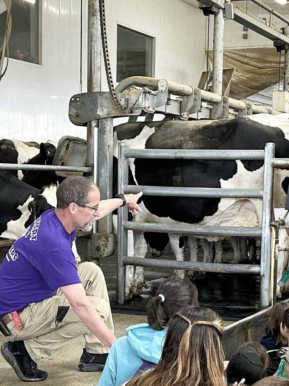 Cows in a barn, farm tour, educational experience at QuestForDirections, rural farm visit, kids learning about agriculture and dairy farming.