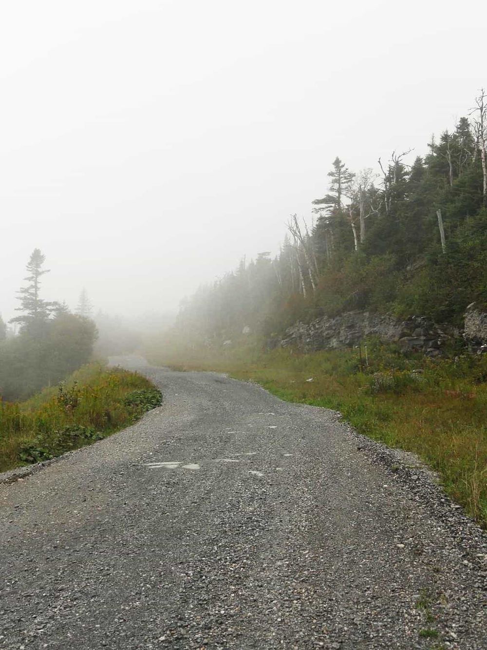 Misty forest road in mountainous terrain, scenic nature trail, outdoor hiking, nature exploration, Adventure travel.