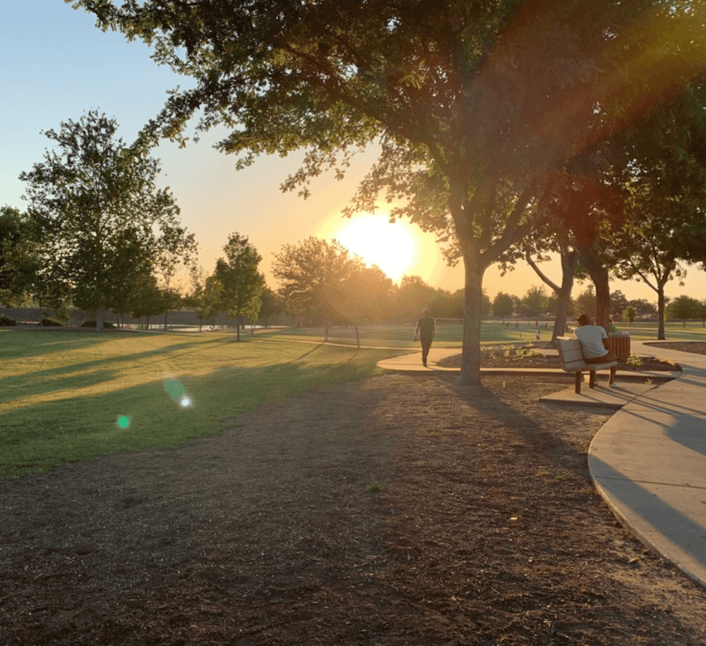 Tranquil park scene during sunset with people relaxing and walking, perfect for outdoor recreation and peaceful nature experiences.