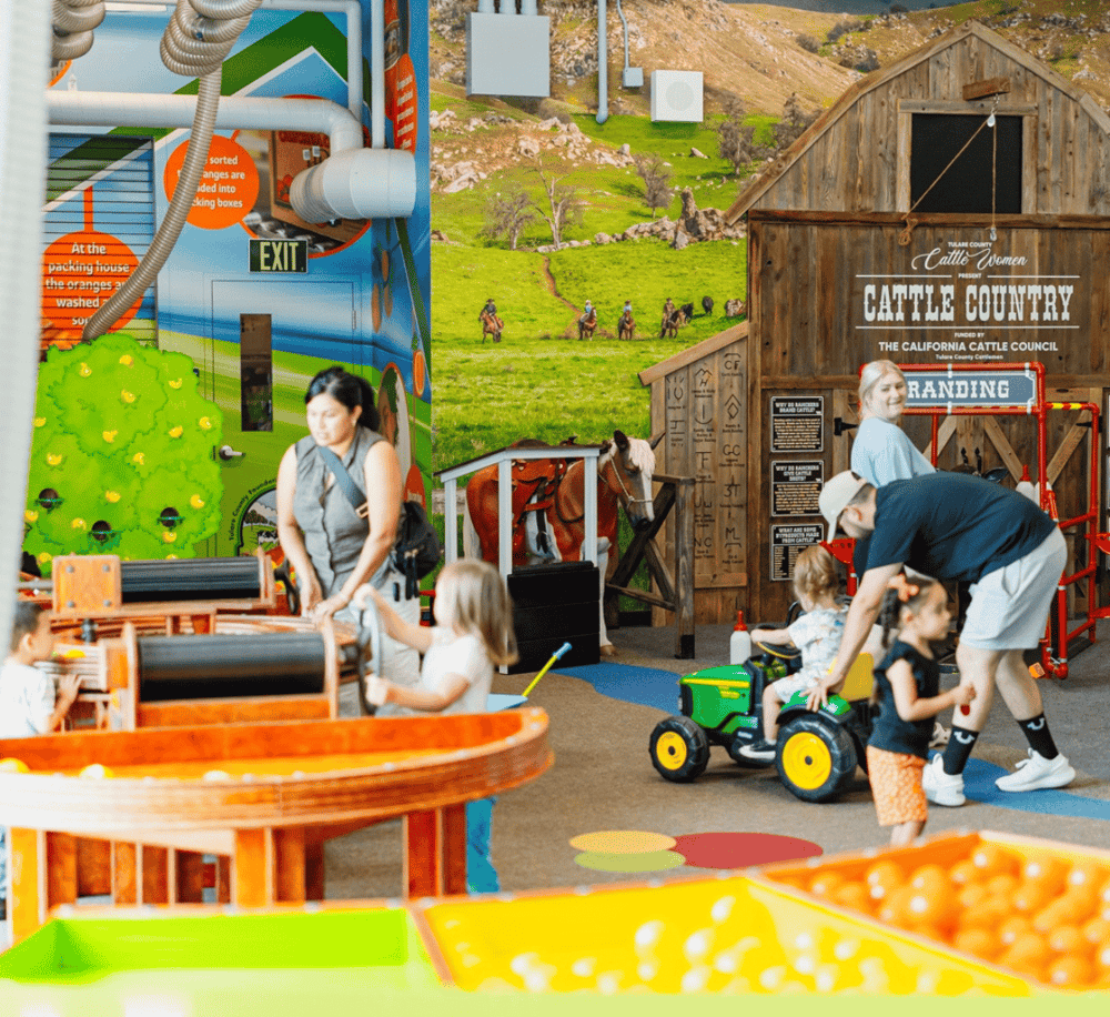 Playful indoor kids' activity area with farm theme at QuestForDirections adventure center.
