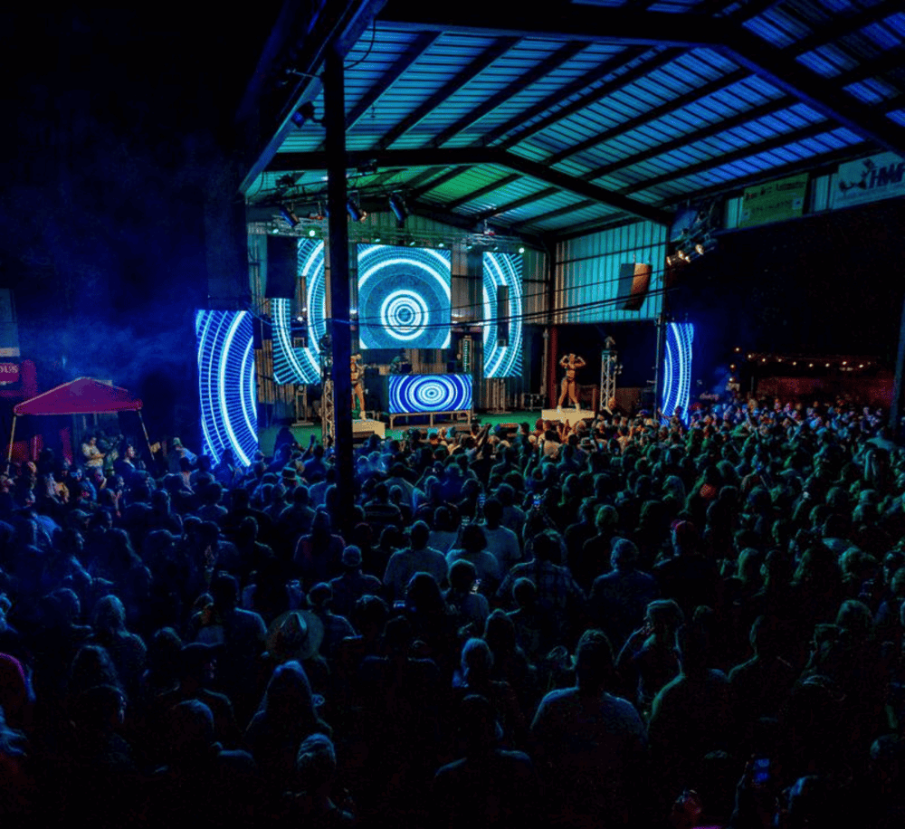 Vibrant concert stage with dynamic blue LED visuals and energetic crowd at an indoor music event.