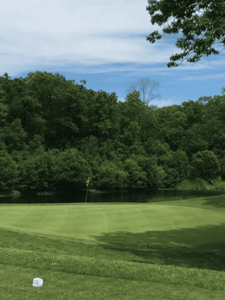 A lush golf course green with a water obstacle and surrounding trees under a blue sky.