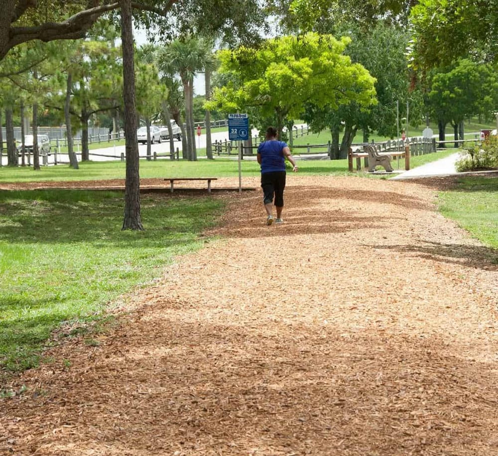 Bright greenery park with walking trail and benches for outdoor recreation and exercise.