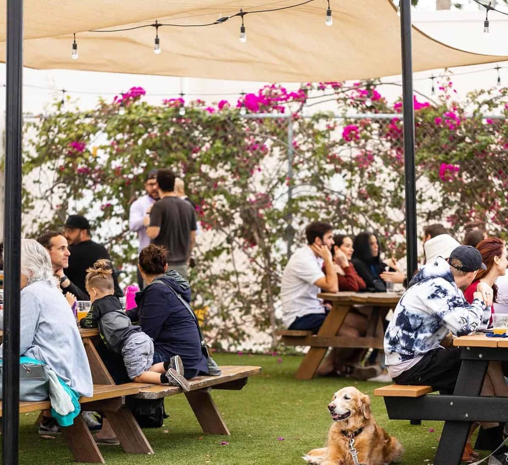 Enjoying a vibrant outdoor patio with lush greenery and blooming flowers at QuestForDirections.
