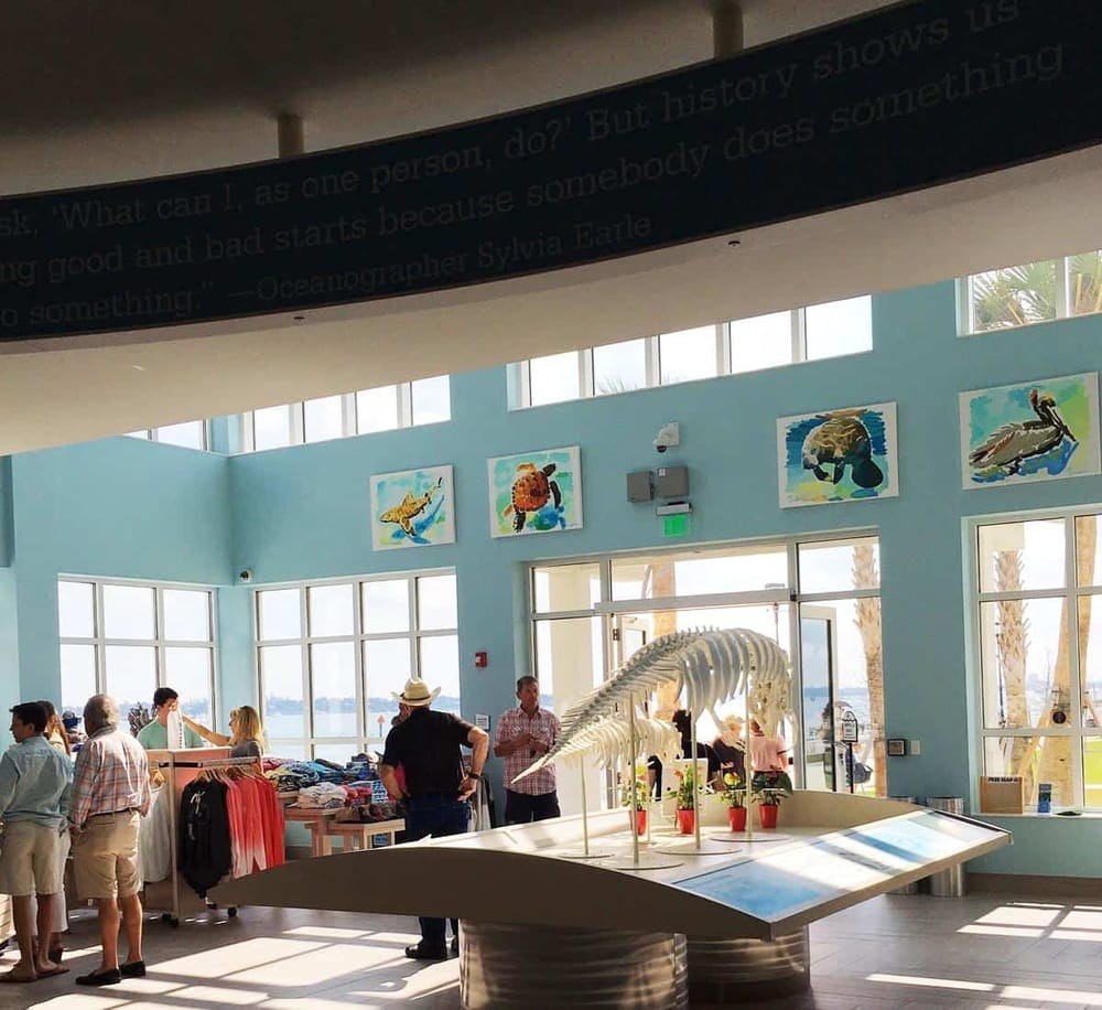 Colorful marine life artwork at QuestforDirections, a popular destination for ocean explorers.