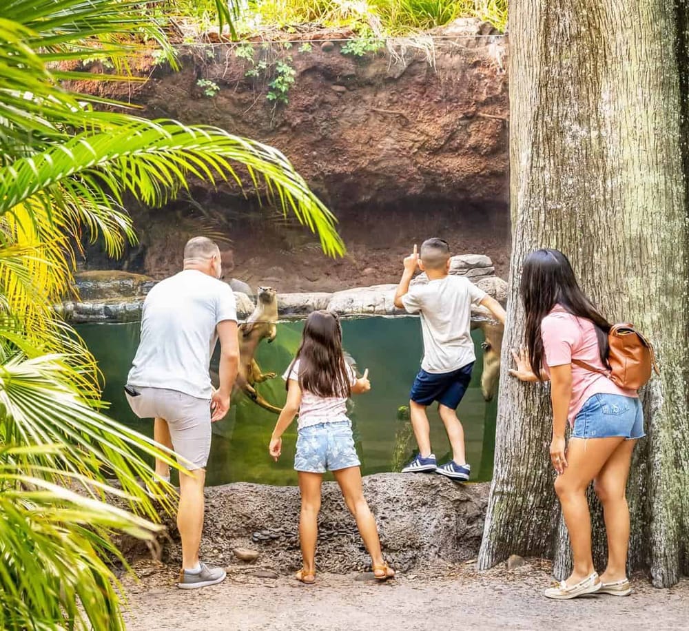1. Children watching a monkey and zoo animals at quest for directions zoo exhibit.