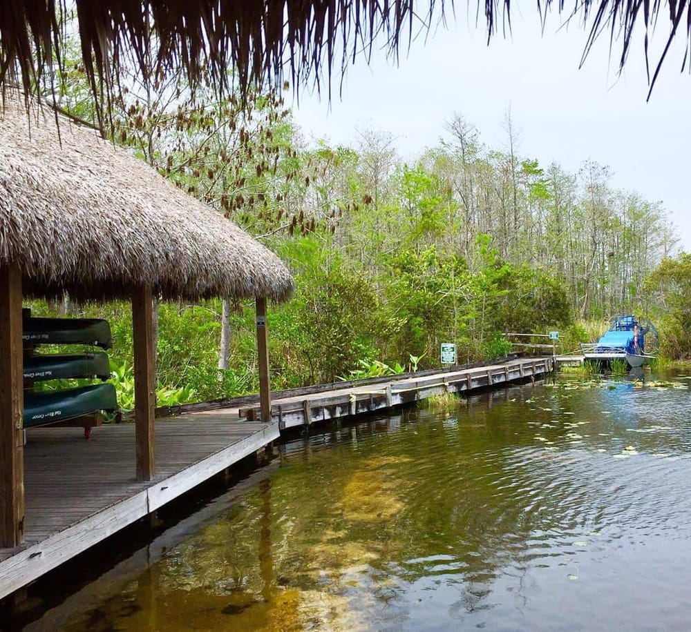 Tranquil waterside dock with paddle boats, surrounded by lush green trees, ideal for outdoor adventure.
