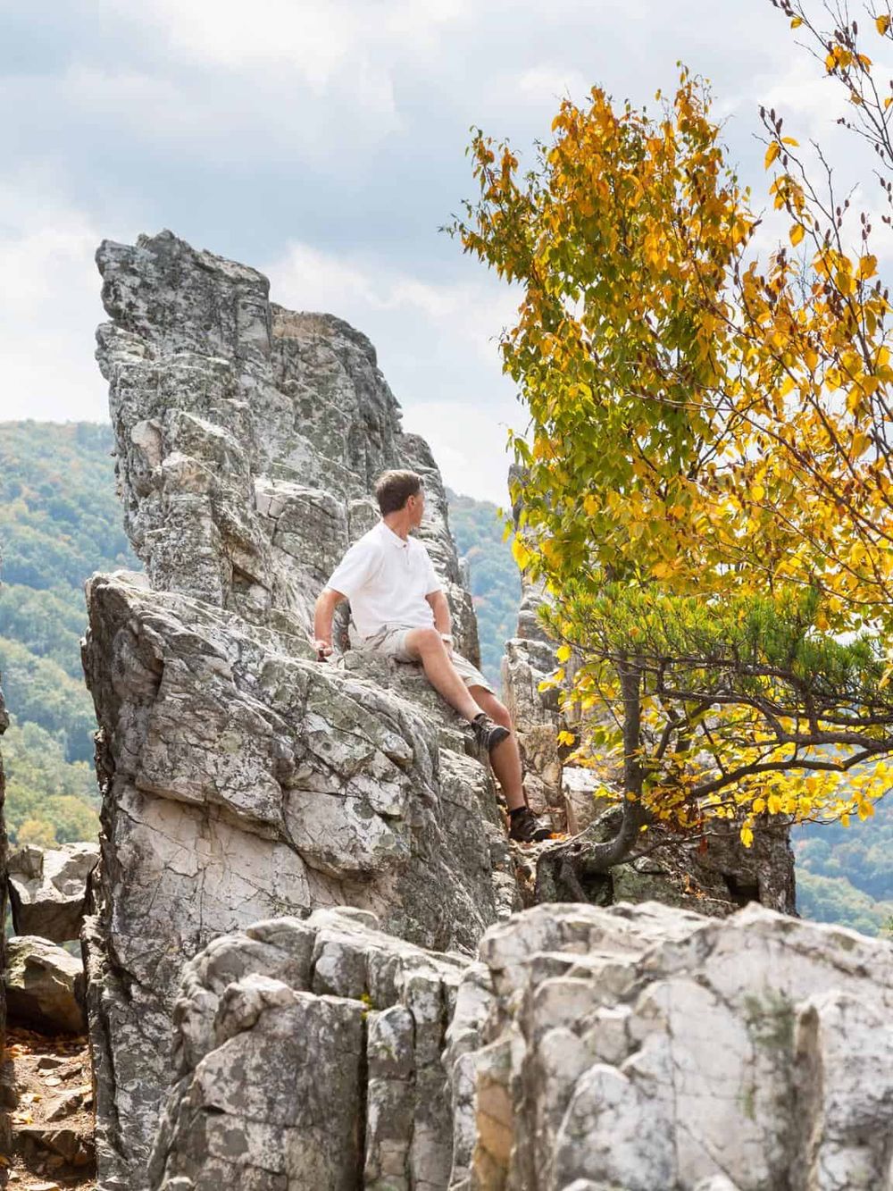 Young man hiking on rocky mountain trail in fall foliage, exploring outdoor adventure landscapes.