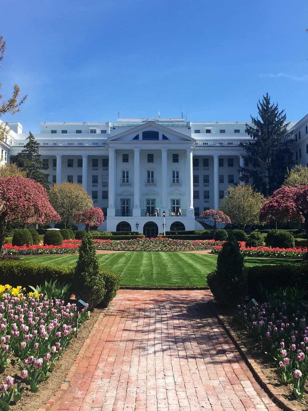 Elegant white landmark hotel with lush garden and blooming tulips in Washington D.C.
