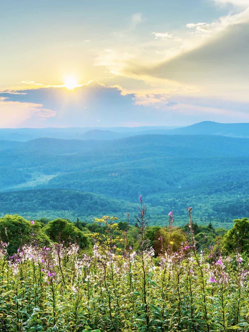 Breathtaking mountain landscape with vibrant wildflowers during sunset, perfect for travel and adventure enthusiasts.