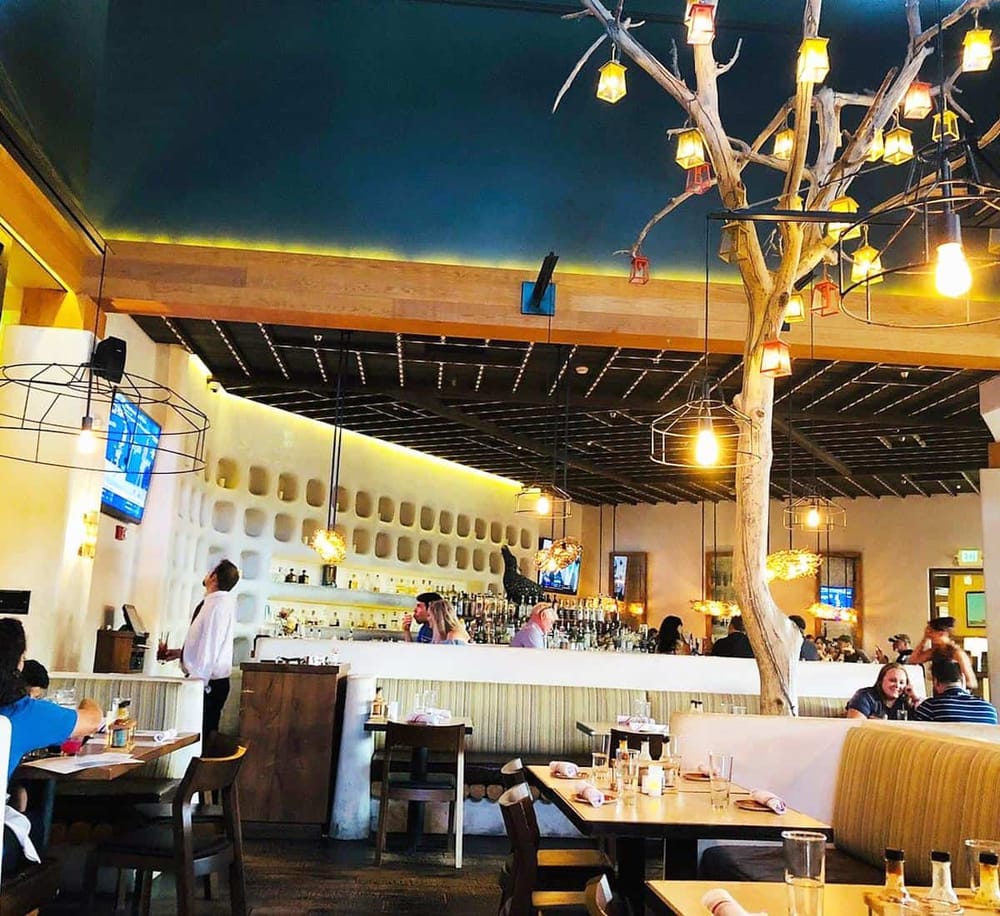 Colorful interior of a modern restaurant with unique tree and lighting decor, serving fresh, delicious food in a welcoming atmosphere.