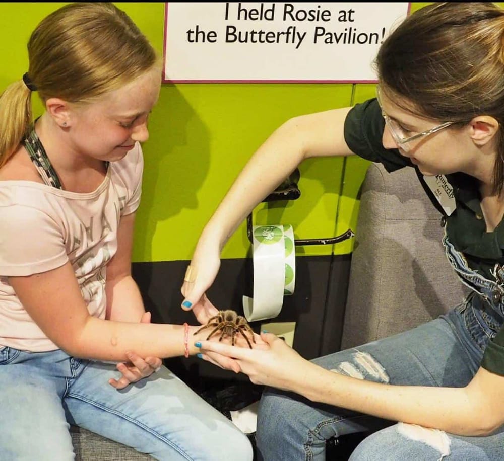 1. Girl holding tarantula at educational animal encounter event.