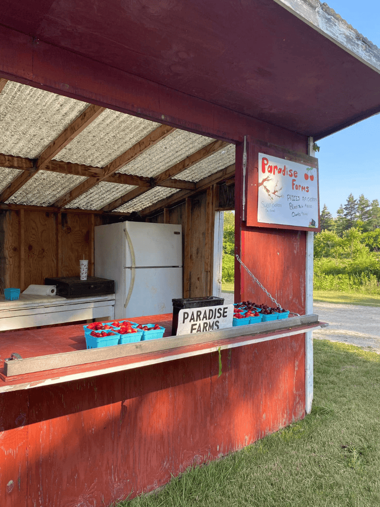 Fresh strawberries at Paradise Farms roadside stand for local farmers market shopping.