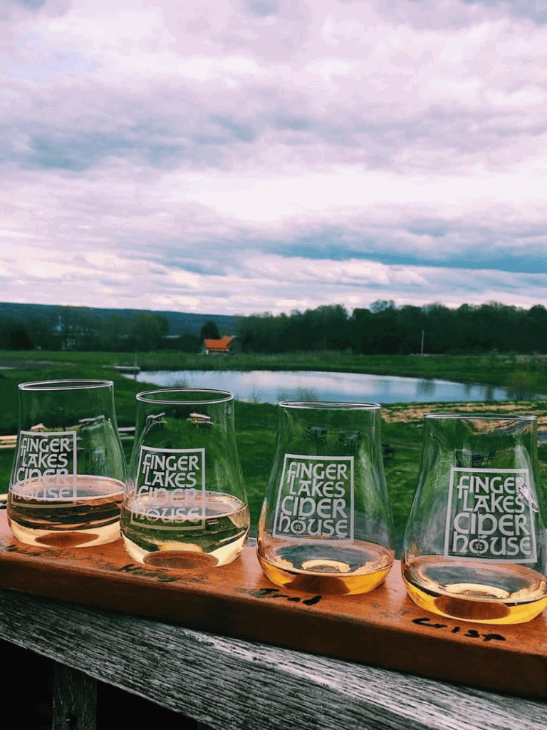 Smoothie glasses with Finger Lakes Cider House logo, overlooking scenic lake view and countryside.