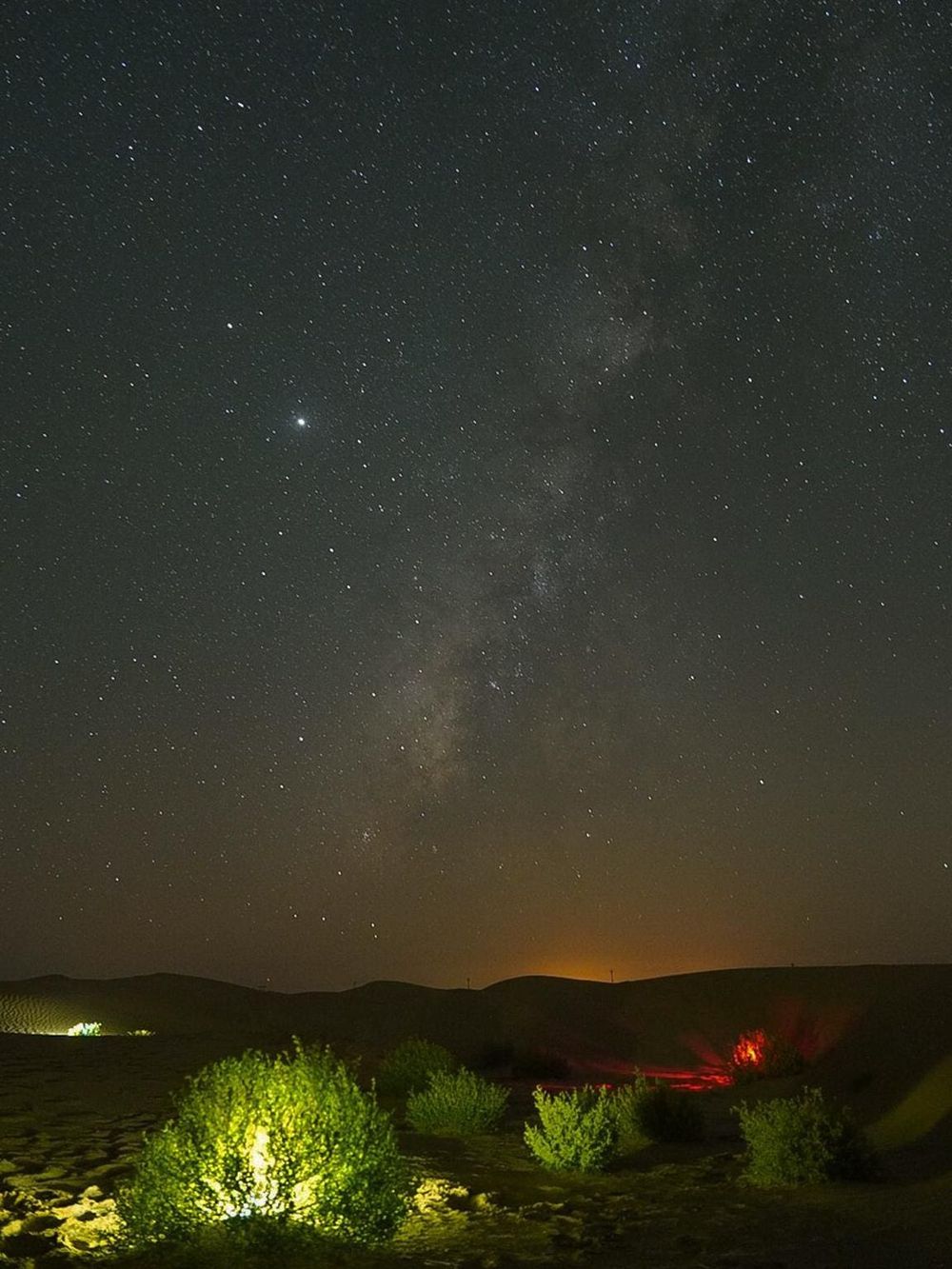 Starry night sky over desert landscape with illuminated bushes and distant mountains.