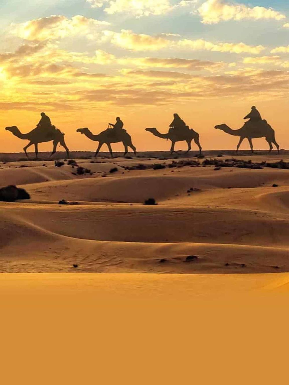 Camel caravan against desert sunset, travel, adventure, guided tours, Explore Middle East destinations, outdoor exploration, desert landscape.