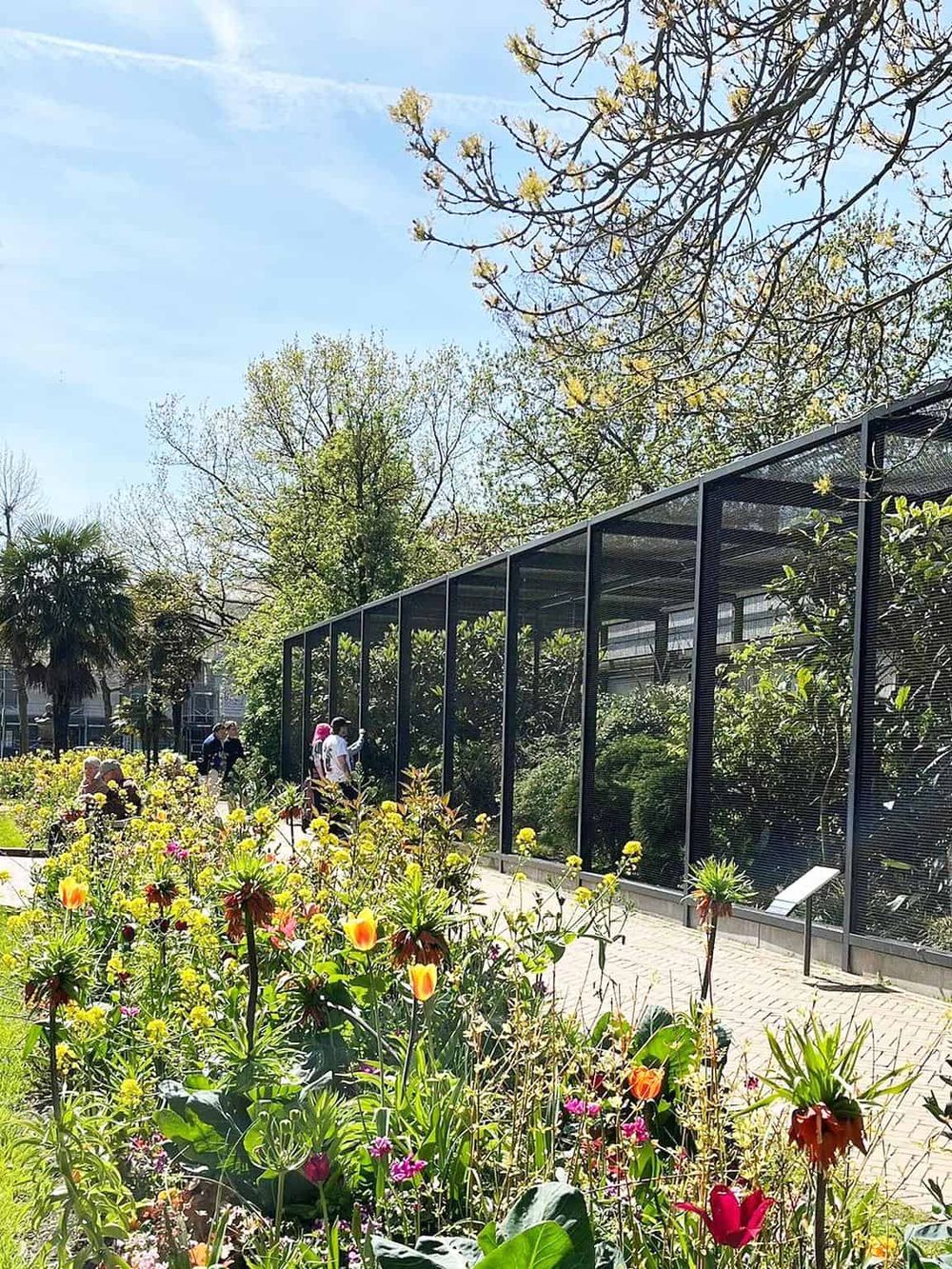 Lush garden with a glass enclosure at Quest for Directions, showcasing vibrant flowers and green foliage, perfect for outdoor exploration.
