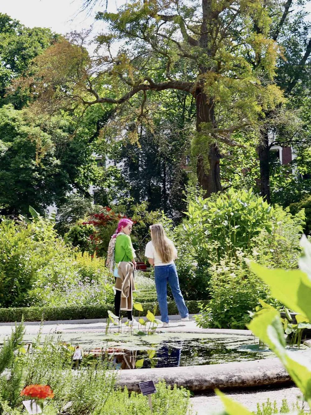 Lush garden with two women talking near pond, vibrant greenery, tall trees, peaceful outdoor scene for nature lovers.