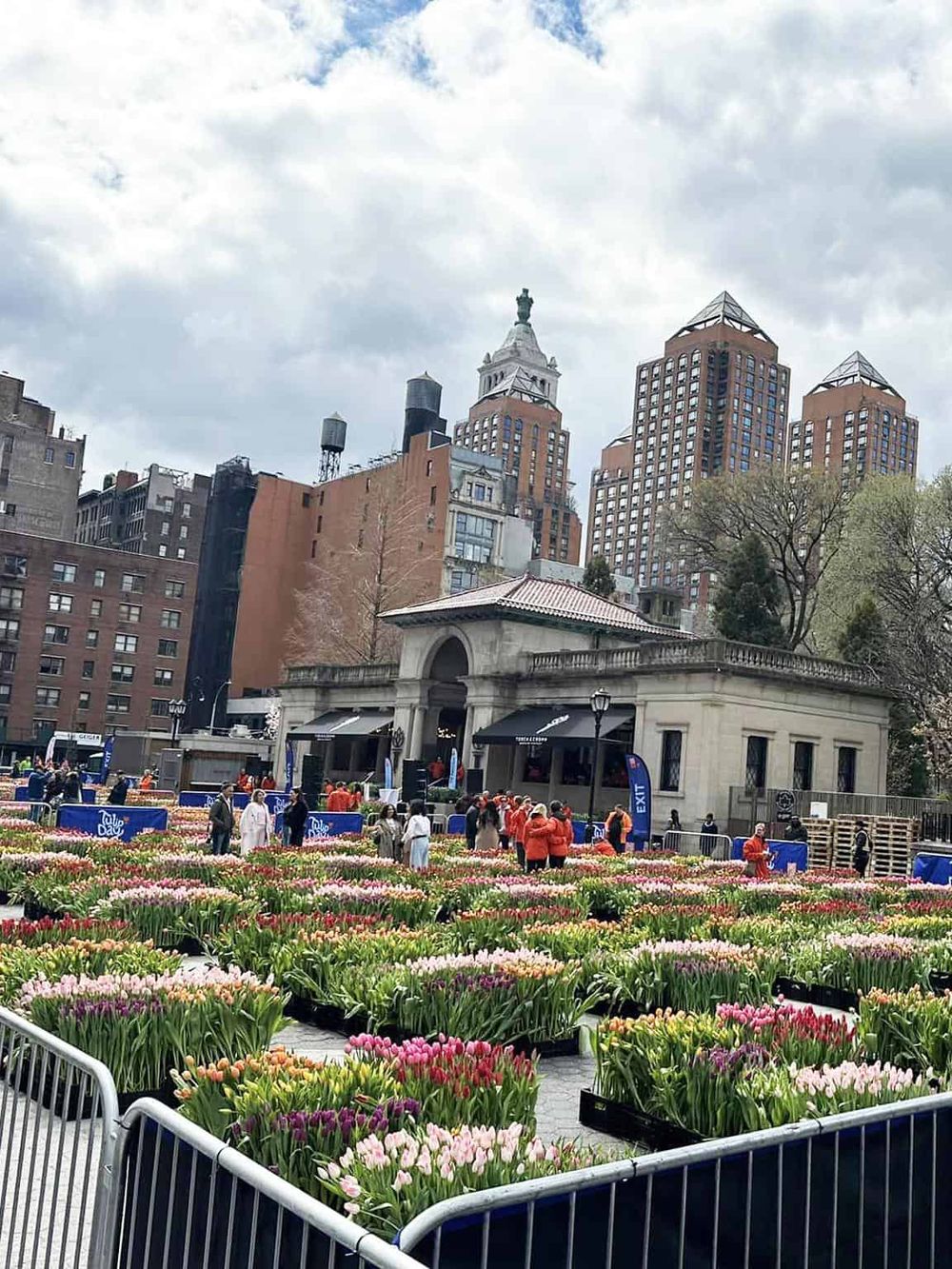 Colorful tulip garden at Central Park in New York City on a cloudy day.