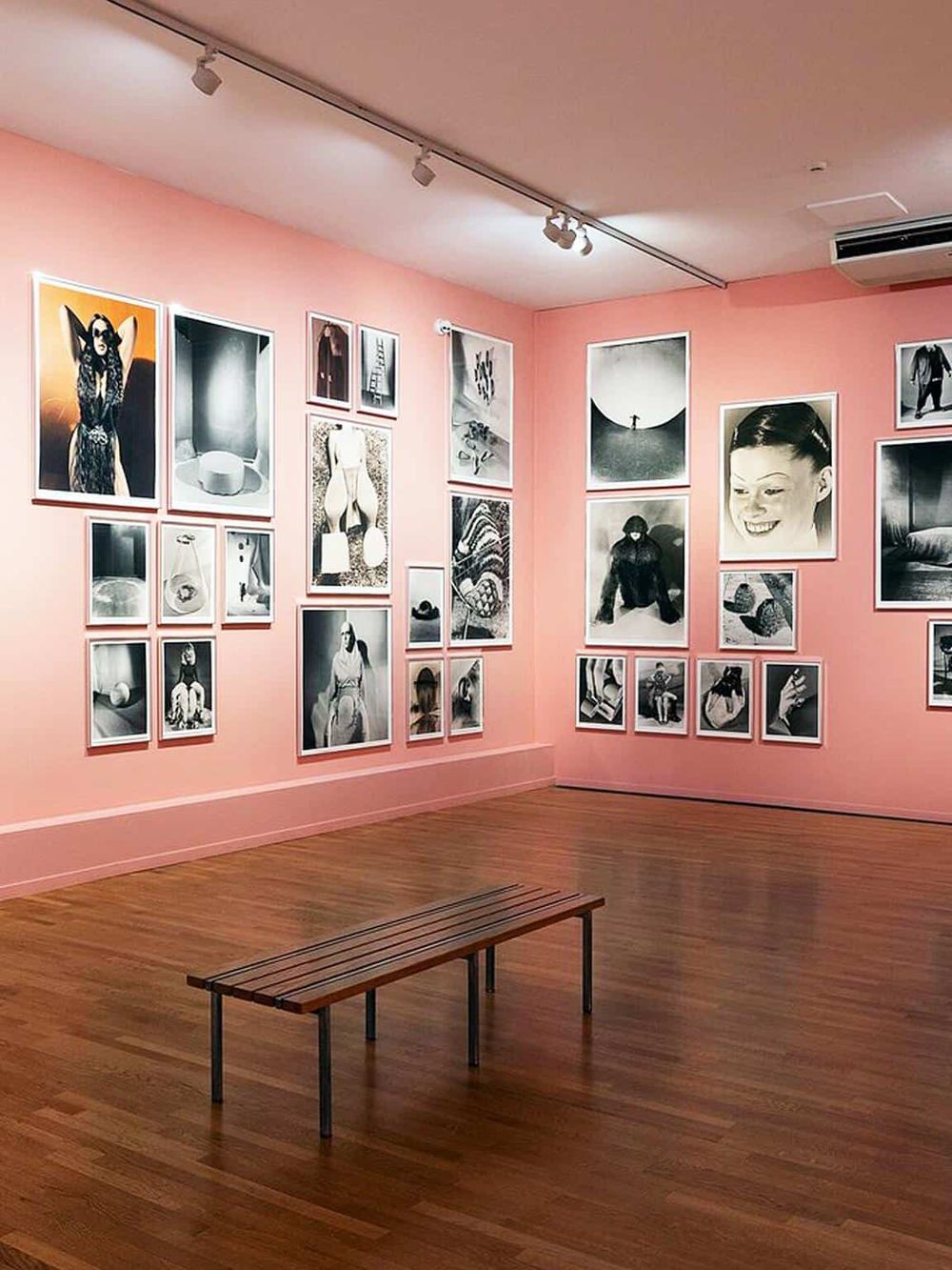 Vivid art gallery with black and white photographs displayed on pink walls, sleek wooden flooring, and minimal seating.