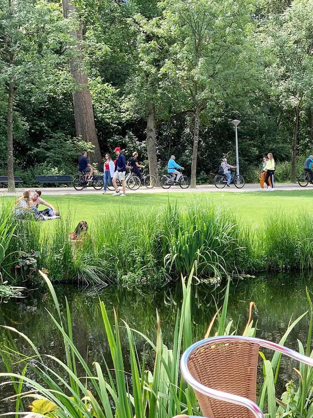 1. People cycling and walking in a lush green park with tall trees and a pond nearby.