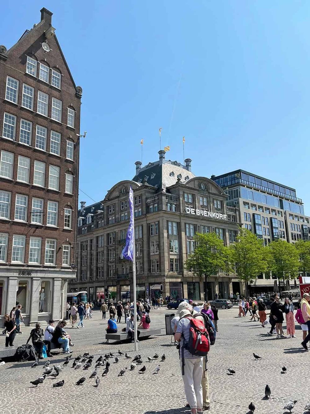 Historic city square in Amsterdam with pigeons and people, showcasing Dutch architecture and urban exploration.