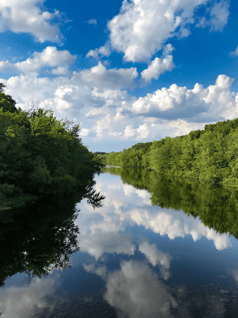 Tranquil river surrounded by lush green trees under a blue sky with fluffy clouds, perfect for nature exploration.