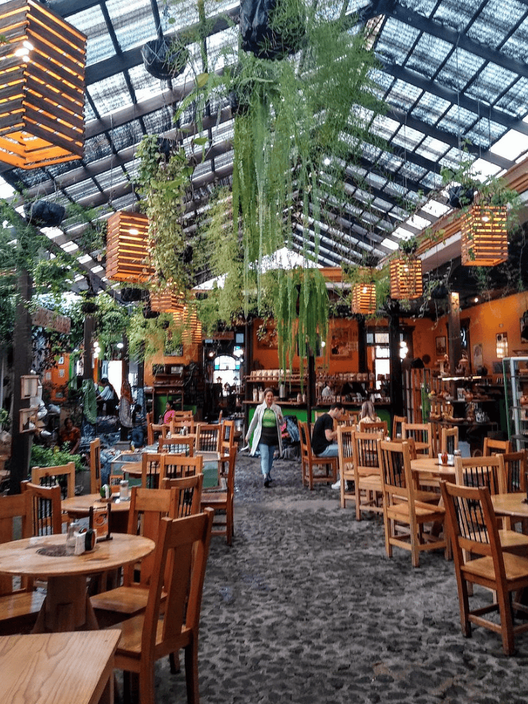 Lush indoor greenhouse restaurant with hanging plants and wooden furniture, offering a calming dining experience.