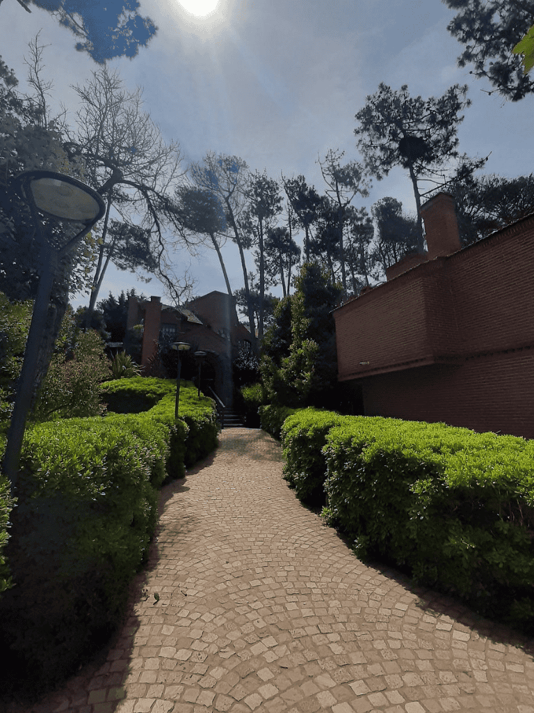 Peaceful pathway through lush greenery at QuestForDirections urban garden.