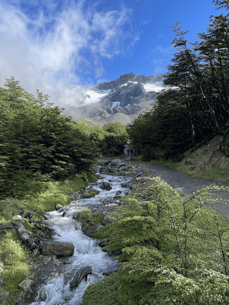 Vibrant mountain landscape featuring a cascading stream, lush greenery, and snow-capped peaks under a blue sky.