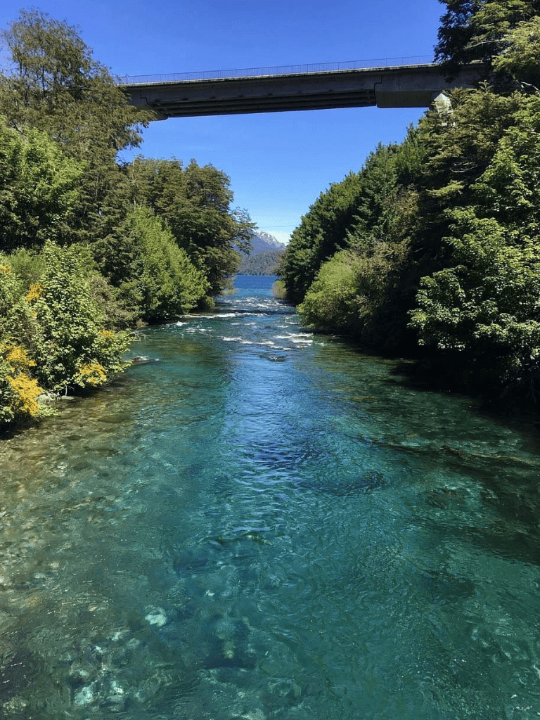 Vibrant river with clear water flowing through lush green trees under a bridge in scenic outdoor setting.