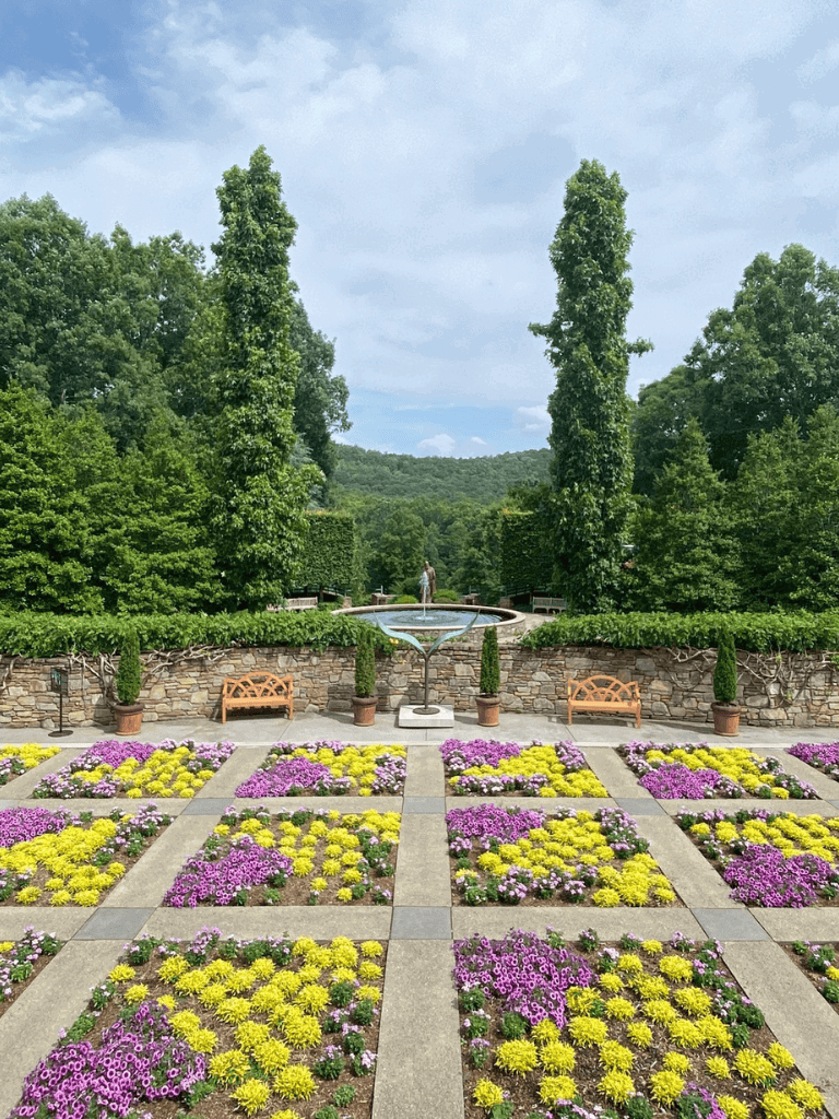 Beautiful garden with colorful flowers, lush greenery, and scenic mountain views at QuestForDirections.