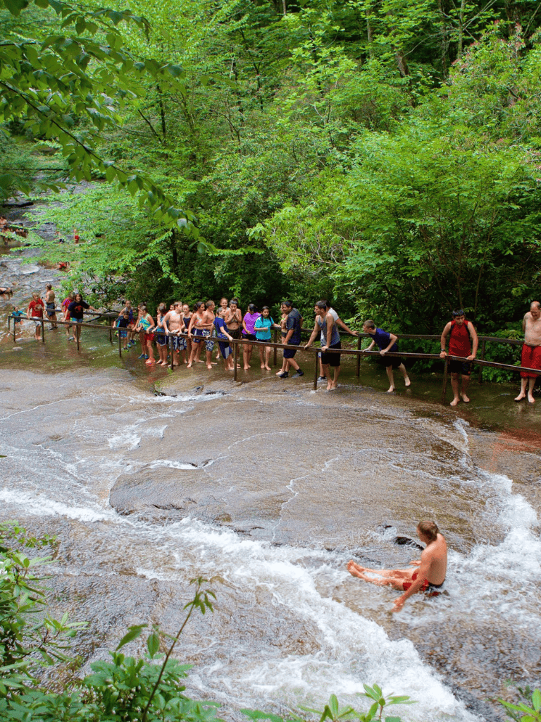 People enjoying water activity along a river in a lush green forest setting.