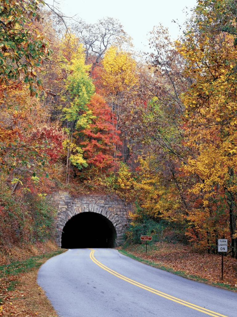 Colorful fall foliage near tunnel on rural road in autumn.