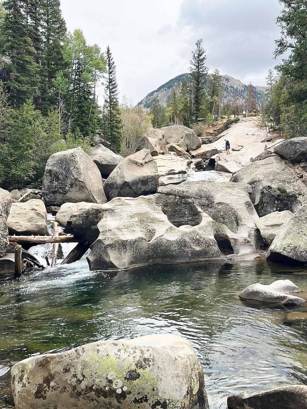 Serene mountain river with large rocks and evergreen trees, ideal for outdoor adventure and nature exploration.
