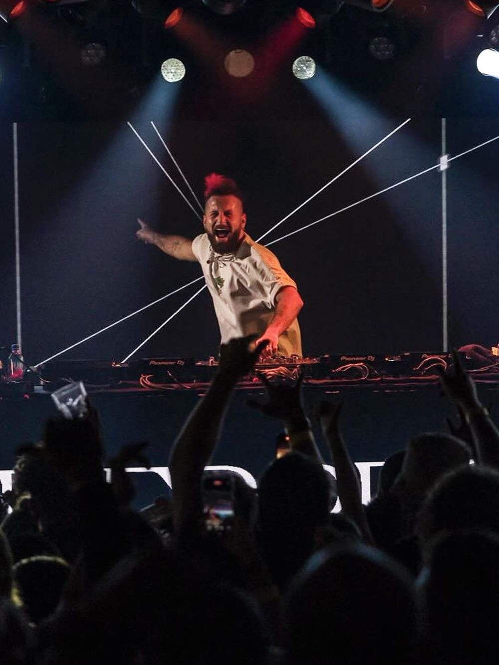 DJ performing at a concert with a lively crowd and dramatic lighting.