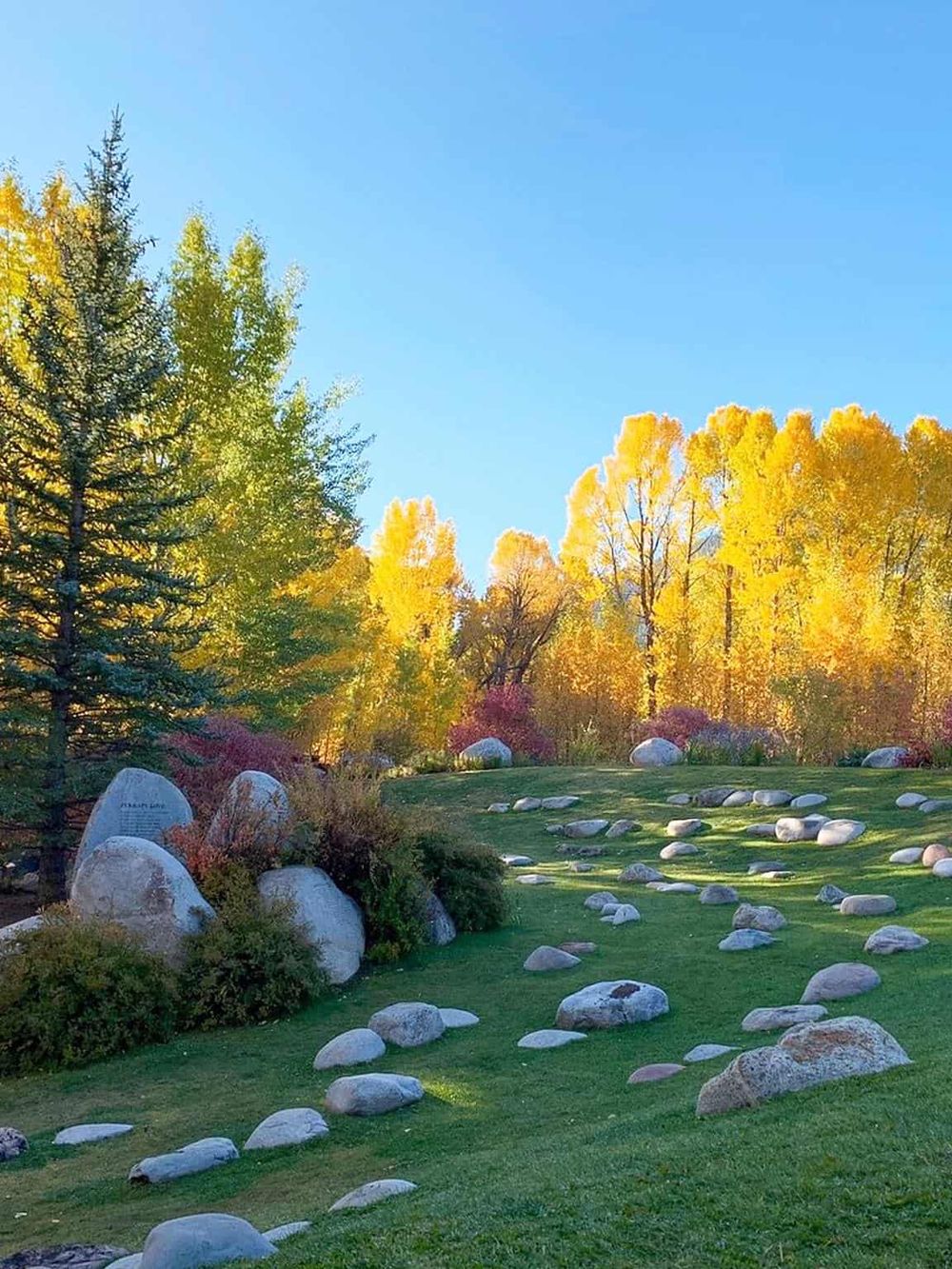 Vibrant autumn landscape with trees and large rocks, perfect for outdoor adventures and scenic explorations.