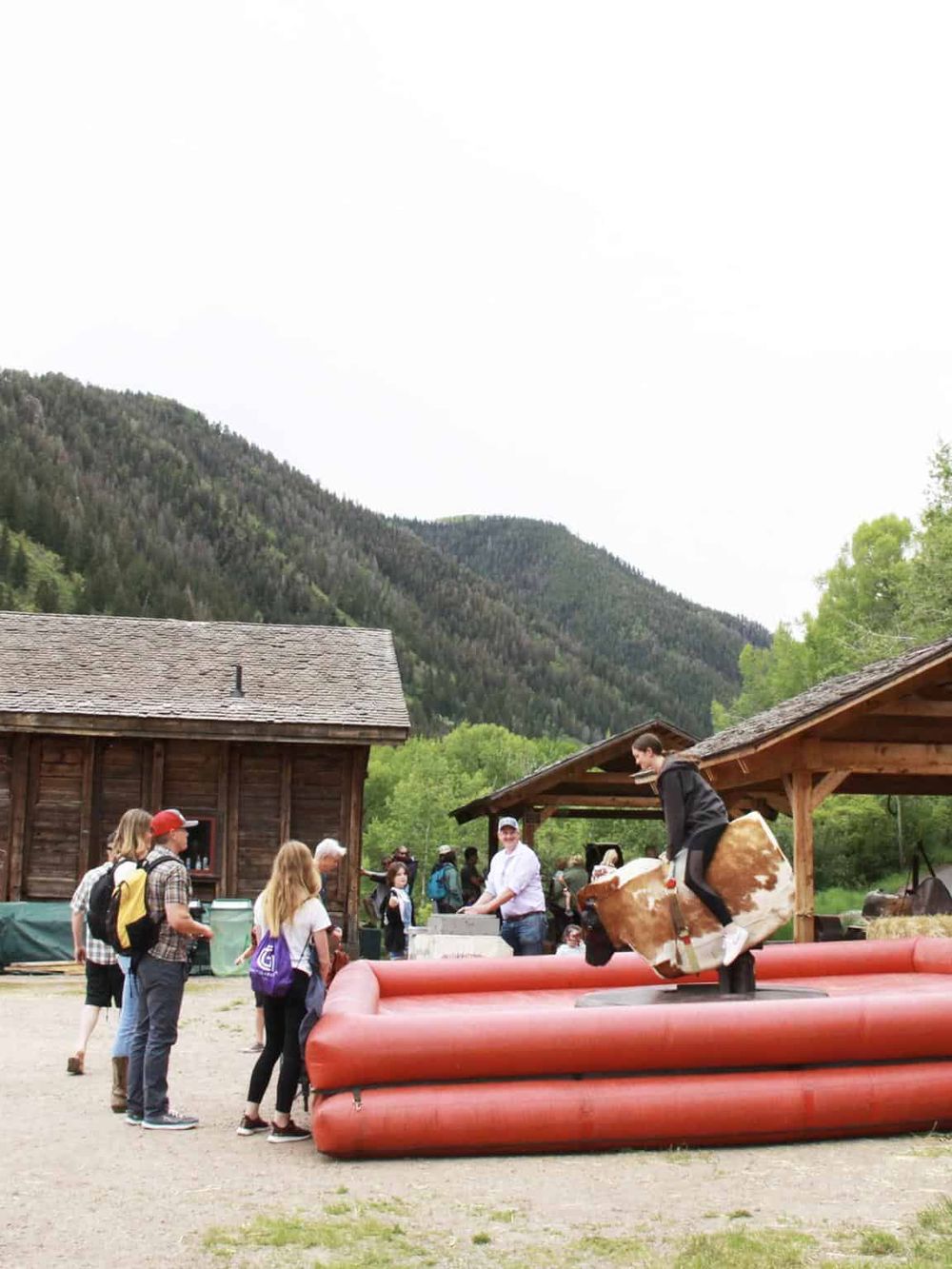 Kids riding mechanical cow at outdoor farm activity, family fun, rural setting.