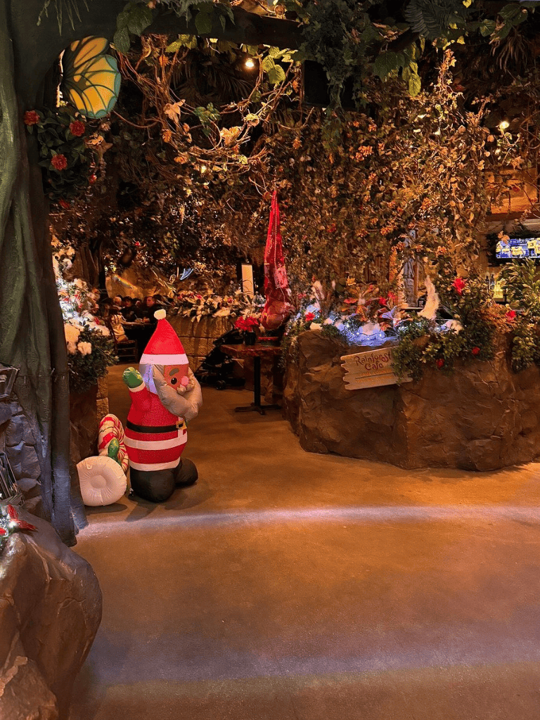 Festive Christmas decor with Santa and holiday flowers at QuestForDirections indoor venue.