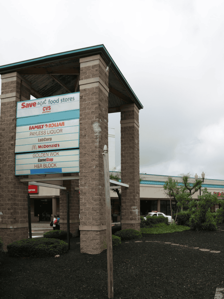 Save a lot grocery store shopping center outside view with various store signs and greenery.