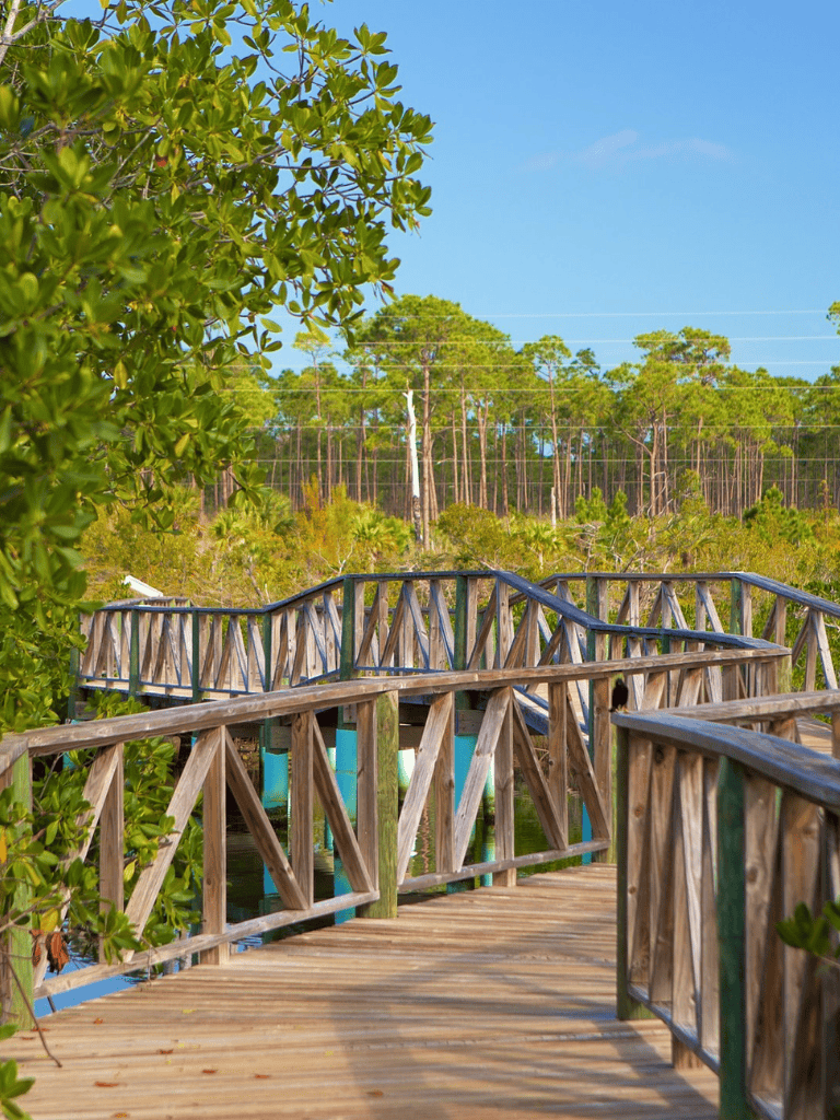 Bird viewing boardwalk in Florida wetlands for nature trails and wildlife exploration.