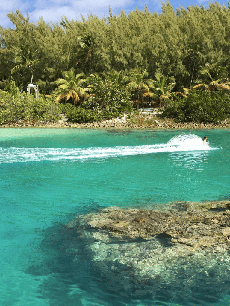 Bright turquoise water with a person jet skiing, tropical trees, and lush greenery in the background.