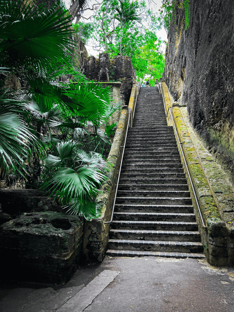 Ancient stone staircase surrounded by lush green tropical foliage in a jungle setting.