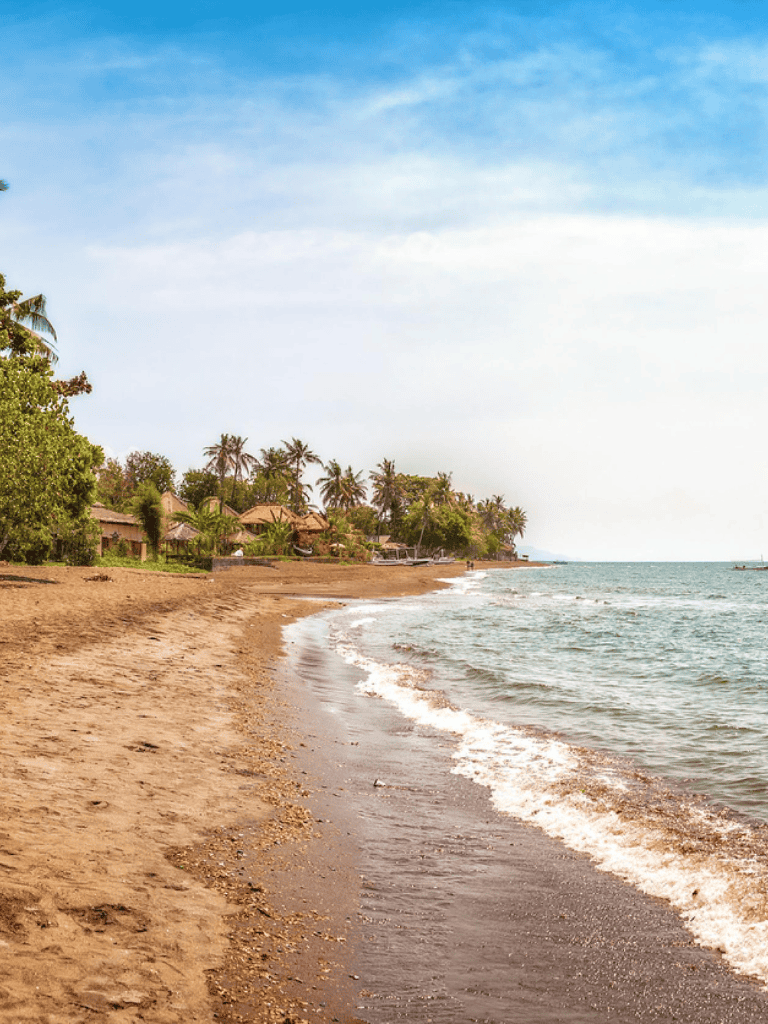 Sunny beach with palm trees and coastal village, ideal for travel and relaxation.